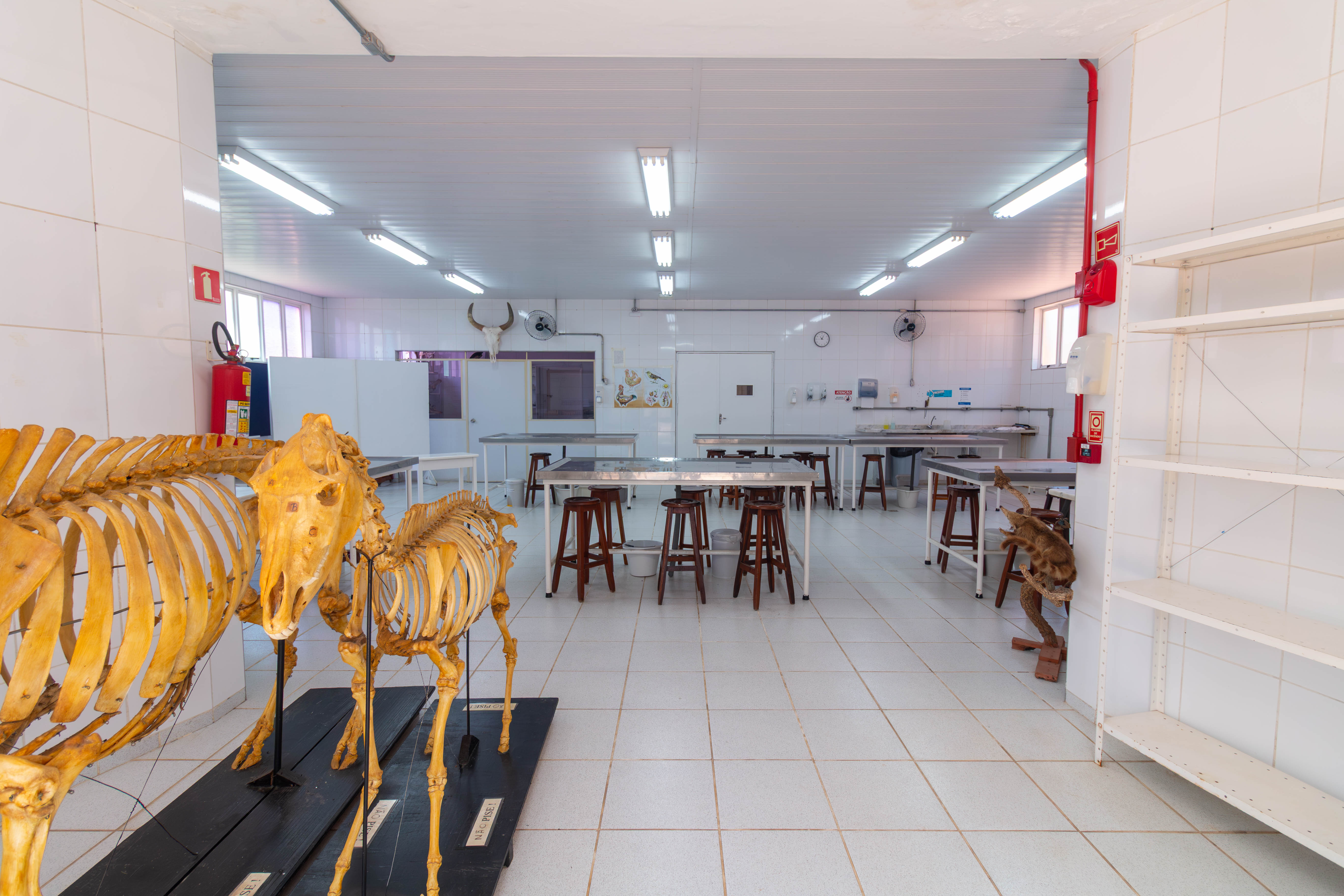 Foto das instalações do curso - Imagem 1